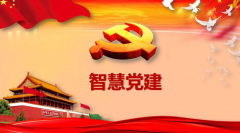 用上互聯網技術就是“互聯網+黨建”了嗎？